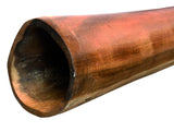 Didgeridoo Sandwich 65 inch with bag - F