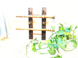 Flute Xiao Shakuhachi display hanging Black Walnut for 5 Flutes