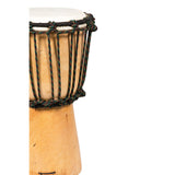 Djembe Beginner Plain,12" tall, 6.5-7" head