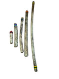 Chilean Rain Stick Rain Maker Cactus  (30 inch, Large)