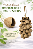 Hand Shaker XXL Pangi
