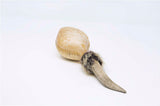 Terré Shamanshaker Handmade from Deer Antler and Cowhide with Feather Totem – Traditional Native Style in S, M & L Sizes, Two sounds  Ocean or Rain