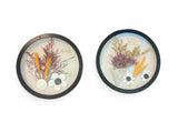 Circular Framed Wall Art Decoration with Dried Flowers, Black and White Frames 12 inches