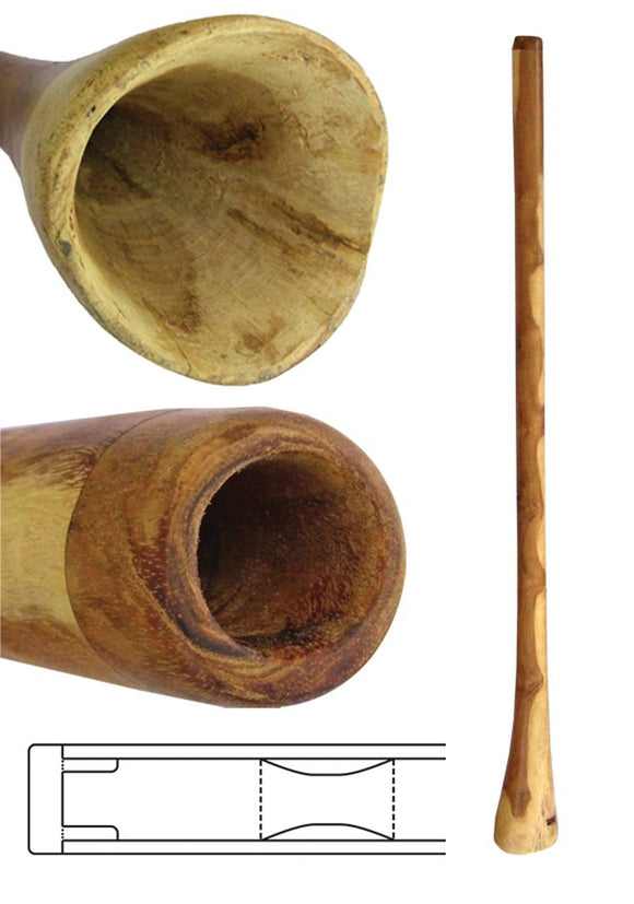 Didgeridoo Eucalyptus 55 inch