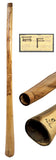 Didgeridoo Eucalyptus Proline, incl Bag 59 inch (Tone F)