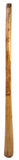 Didgeridoo Eucalyptus Proline, incl Bag 59 inch (Tone Dis)