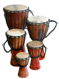 Djembe Beginner Plain,12" tall, 6.5-7" head