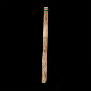 Chilean Rain Stick Rain Maker Cactus  (40 inch, Large)