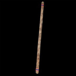 Chilean Rain Stick Rain Maker Cactus (59 inch, Small)