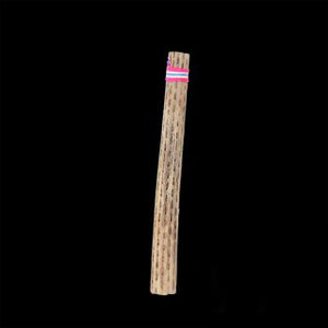 Chilean Rain Stick Rain Maker Cactus  (20 inch, Small)