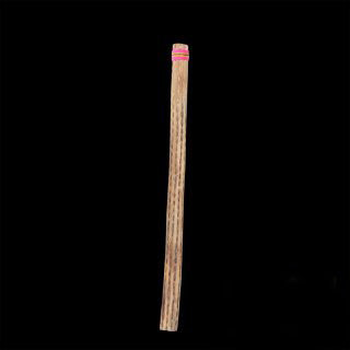 Chilean Rain Stick Rain Maker Cactus (30 inch, Small)